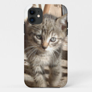 Tiny Kitten IPhone 5 case