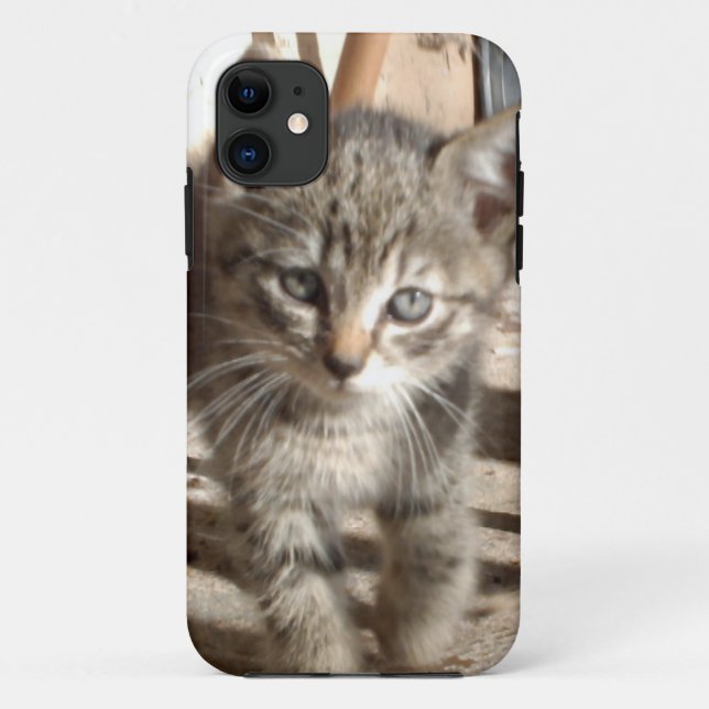 Tiny Kitten IPhone 5 case (Back)
