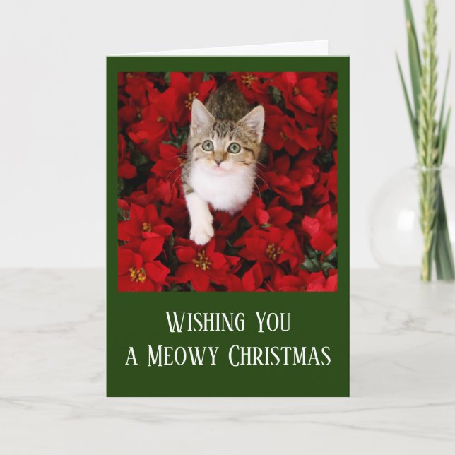 Tiny Kitten Surrounded by Red Poinsettias Holiday Card (Front)