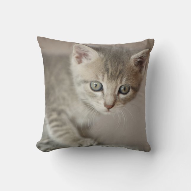 Tiny Kitten Throw Pillow (Front)