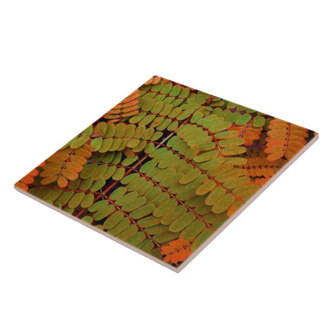 Tiny Leaves Pattern Ceramic Tile (Side)