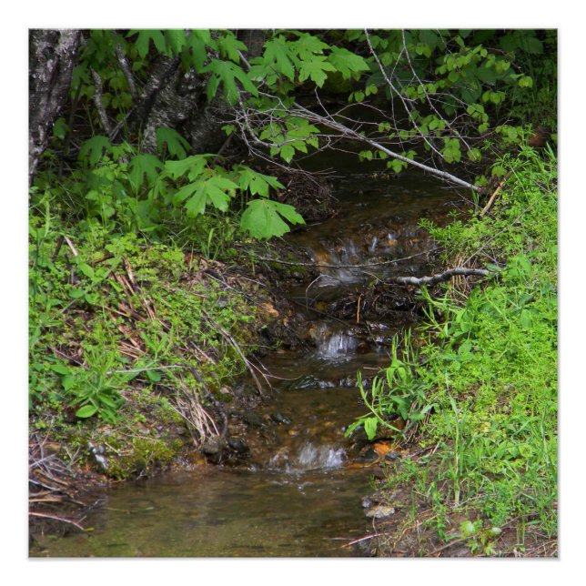 Tiny lil creek... poster (Front)
