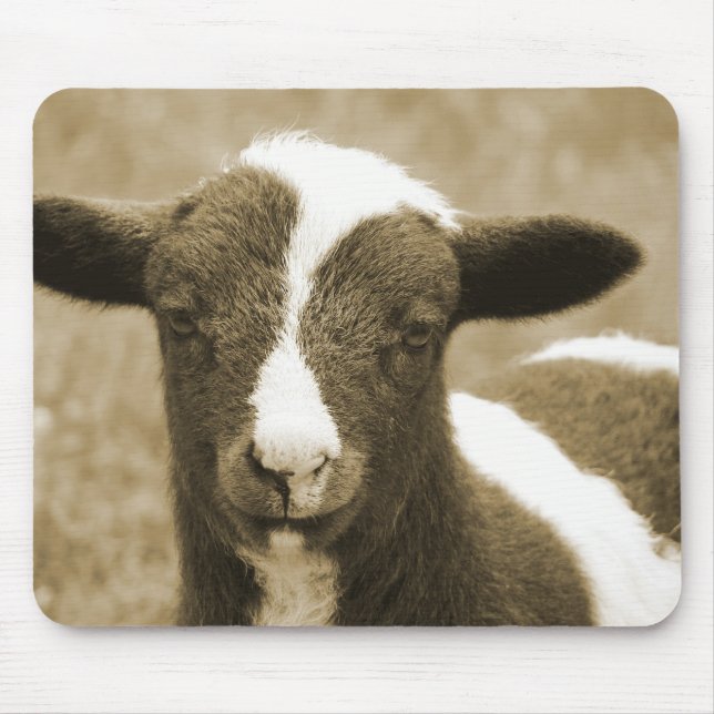 Tiny Mouse Pad (Front)