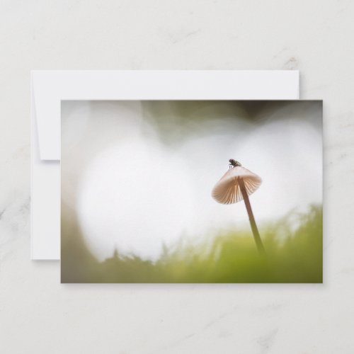 Tiny Mushroom Nature Photo Card