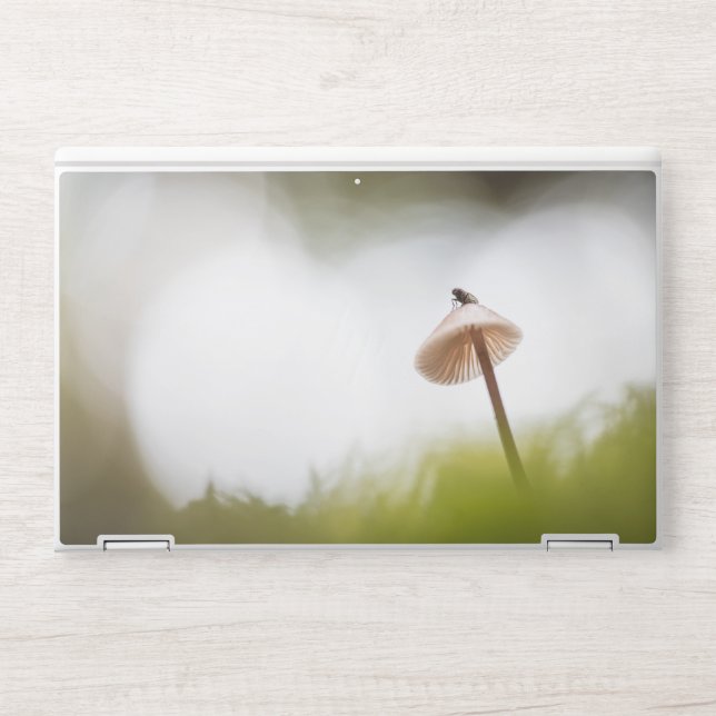 Tiny Mushroom Nature Photo HP Laptop Skin (Front)