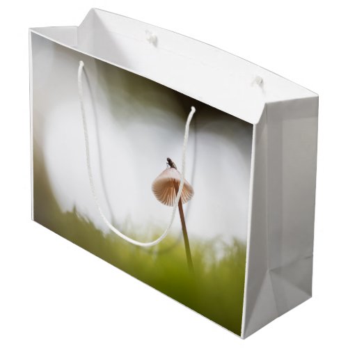 Tiny Mushroom Nature Photo Large Gift Bag