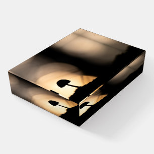 Tiny Mushroom Nature Photo Paperweight