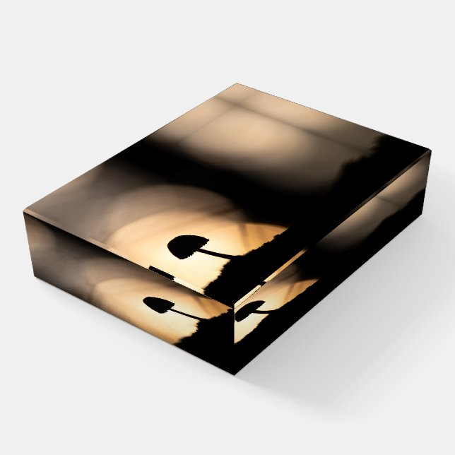 Tiny Mushroom Nature Photo Paperweight (Angled)