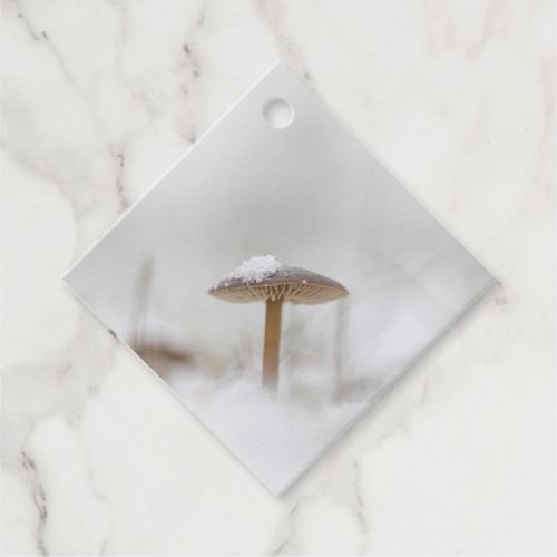 Tiny Mushroom Nature Photo Poster Favor Tags