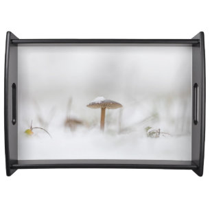 Tiny Mushroom Nature Photo Poster Serving Tray