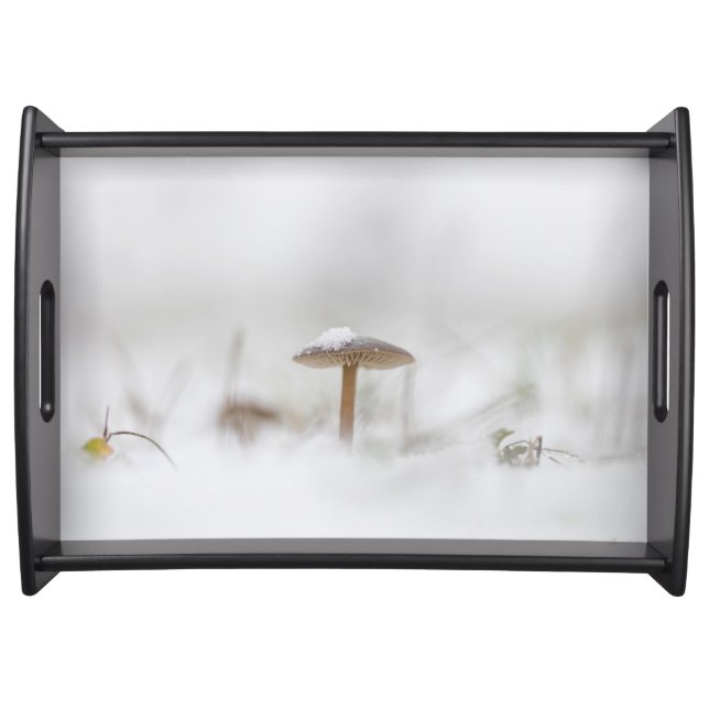 Tiny Mushroom Nature Photo Poster Serving Tray (Front)