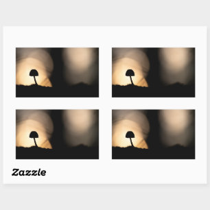 Tiny Mushroom Nature Photo Rectangular Sticker