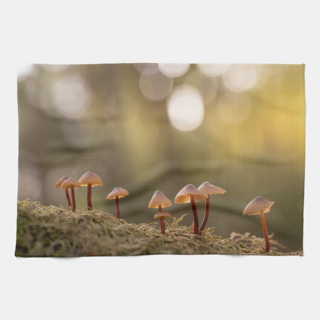 Tiny Mushrooms Nature Photo Kitchen Towel (Horizontal)