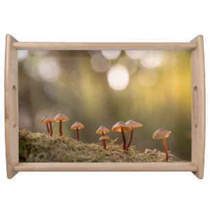 Tiny Mushrooms Nature Photo Serving Tray
