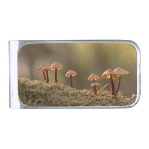 Tiny Mushrooms Nature Photo Silver Finish Money Clip