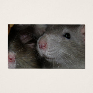 Tiny Noses
