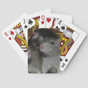 Tiny Noses Poker Cards