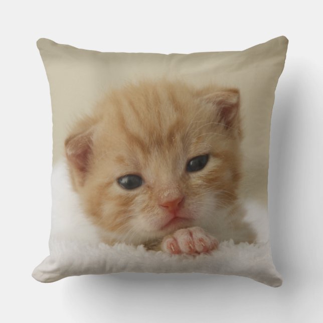 Tiny Orange Kitten Throw Pillow (Front)