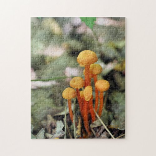 Tiny Orange Wild Mushrooms Nature  Jigsaw Puzzle