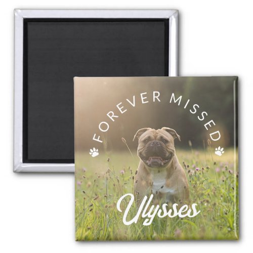 Tiny Paw Prints Forever Missed Pet Photo Magnet