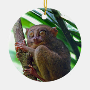 Tiny Philippine tarsier Ceramic Ornament