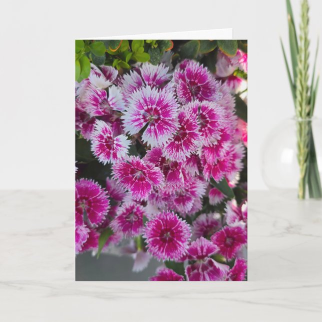 Tiny Pink Flowers Blank Notecard (Front)