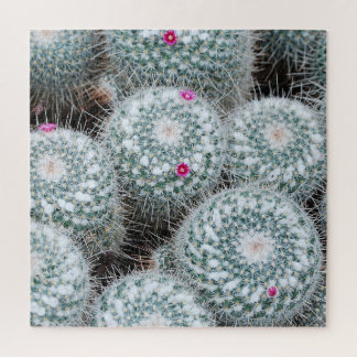 Tiny Pink Flowers Cactus Plants Jigsaw Puzzle