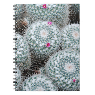 Tiny Pink Flowers Cactus Plants Notebook