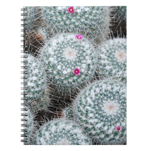 Tiny Pink Flowers Cactus Plants Notebook (Front)