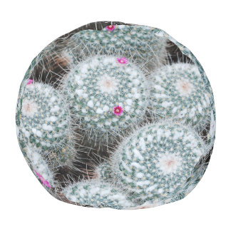 Tiny Pink Flowers Cactus Plants Pouf