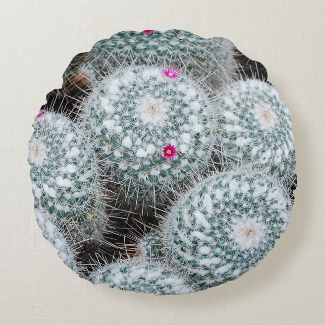 Tiny Pink Flowers Cactus Plants Round Pillow (Front)
