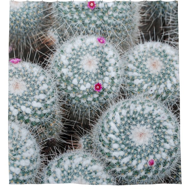Tiny Pink Flowers Cactus Plants Shower Curtain (Front)