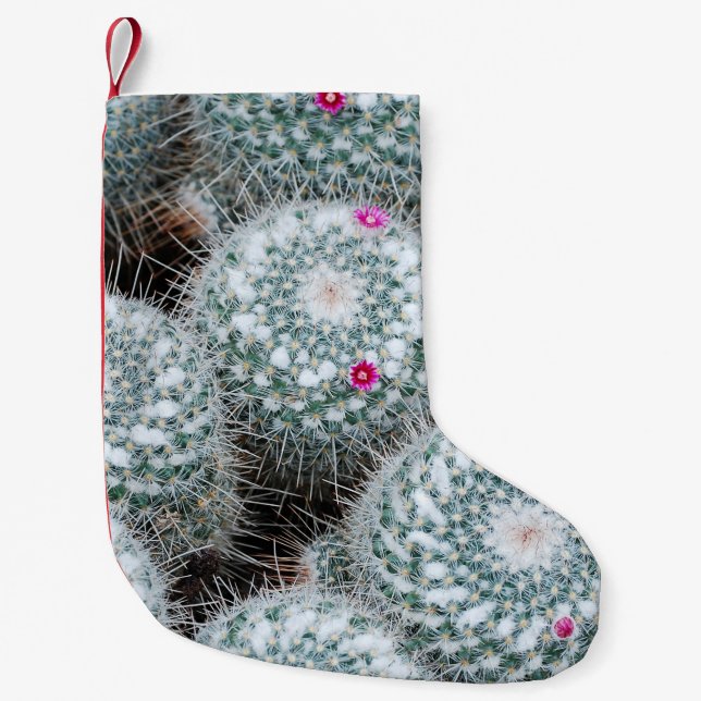 Tiny Pink Flowers Cactus Plants Small Christmas Stocking (Front)