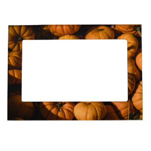 tiny pumpkins magnetic frame