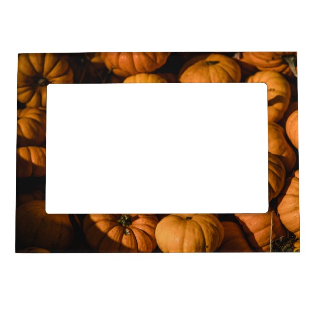 tiny pumpkins magnetic frame (Front)