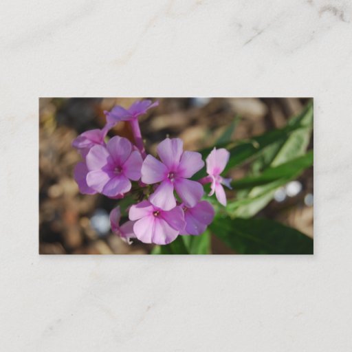 Customizable Tiny Purple Flowers - Business Business Cards