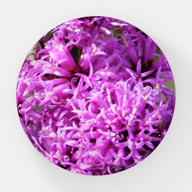 Tiny Purple Wildflowers Paperweight (Front)