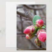 tiny red buds (Front/Back)
