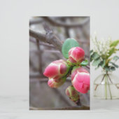 tiny red buds (Standing Front)