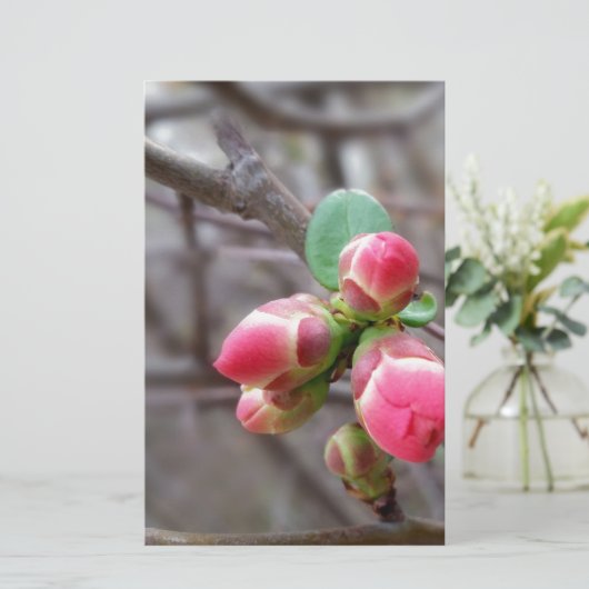 tiny red buds (Standing Front)