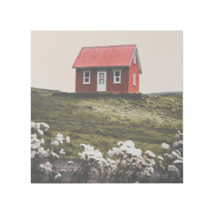 TINY RED HOUSE NATURE ART GALLERY WRAP 12X12