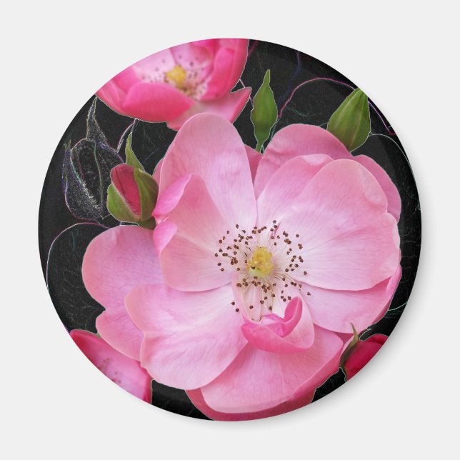 tiny rosebud opens magnet (Front)