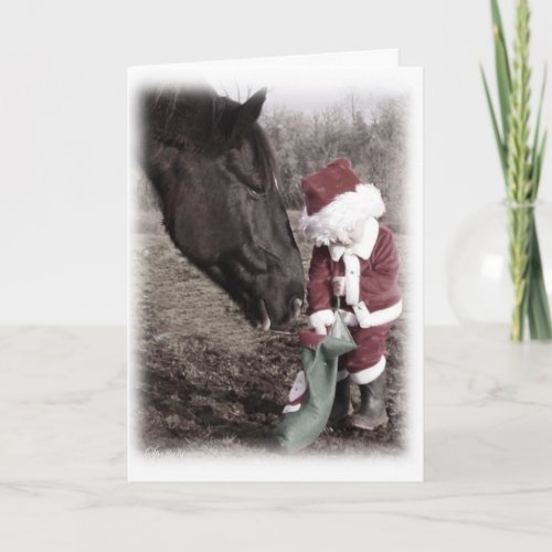 Tiny Santa Holiday Card