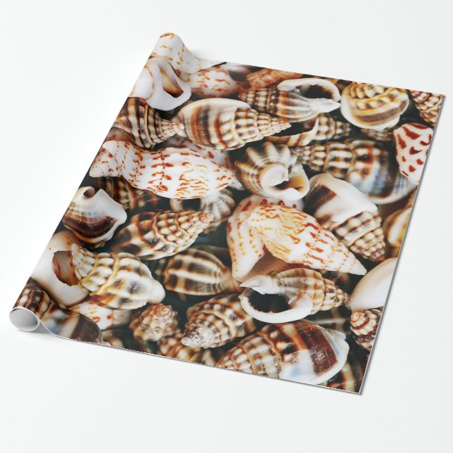 Tiny Seashells Wrapping Paper (Unrolled)