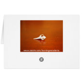 Tiny Shell Cards (Back Horizontal)