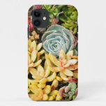 Tiny Succulents Phone Case