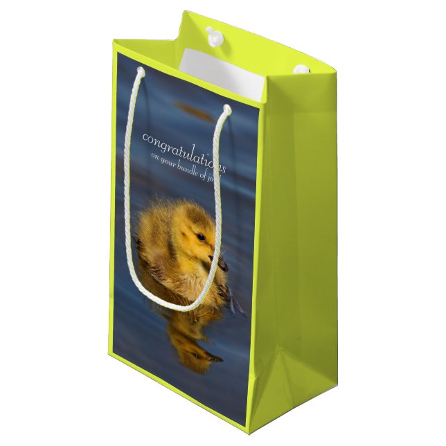 Tiny Swimmer: Canada Goose Gosling Small Gift Bag (Front Angled)