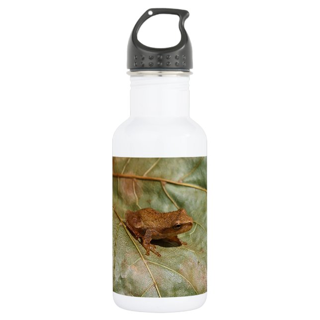 Tiny Toad Stainless Steel Water Bottle (Front)
