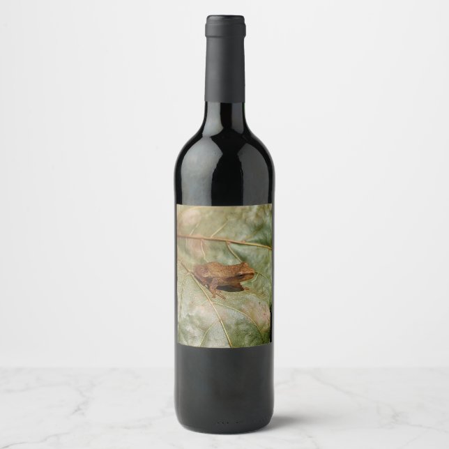 Tiny Toad Wine Label (Front)