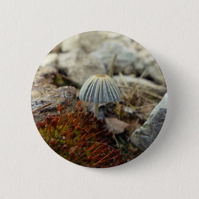 Tiny Toadstool Button (Front)